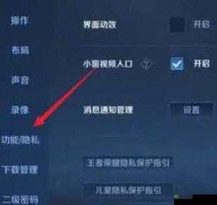 王者荣耀如何设置隐身状态(最新攻略2022)