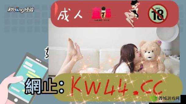 无人区一码二码三码区别图片:深度解析其差异