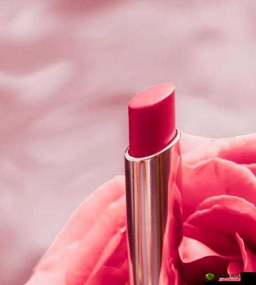 YSL 水蜜桃色推荐 868:迷人魅力无法挡