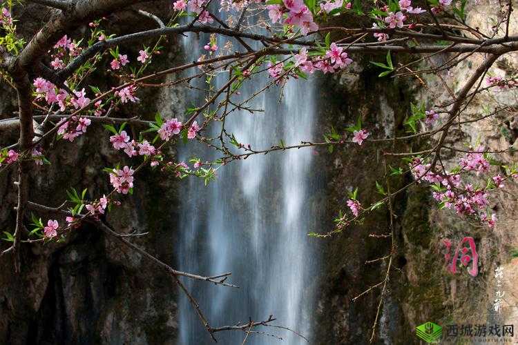 桃花洞口：溪水潺潺