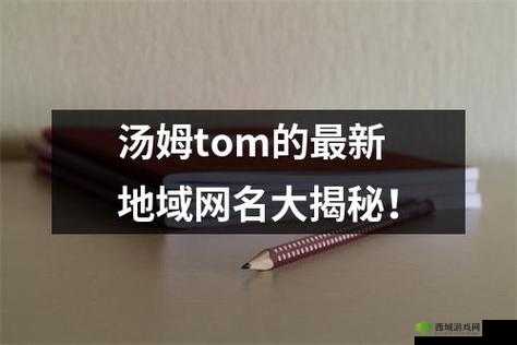 汤姆视频最新地域网名取名技巧：实用指南