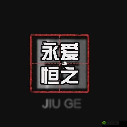 精品 999:你的品质之选