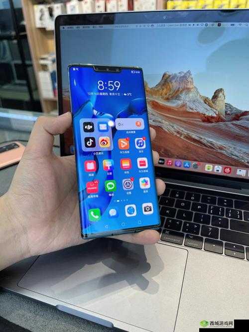 欧美无 mate30pro 巨:独特的存在