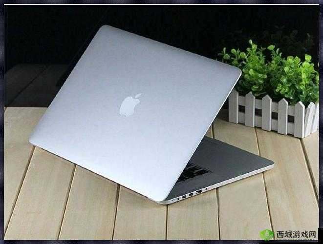 1819 岁 macbook pro 高清版本：卓越性能新体验