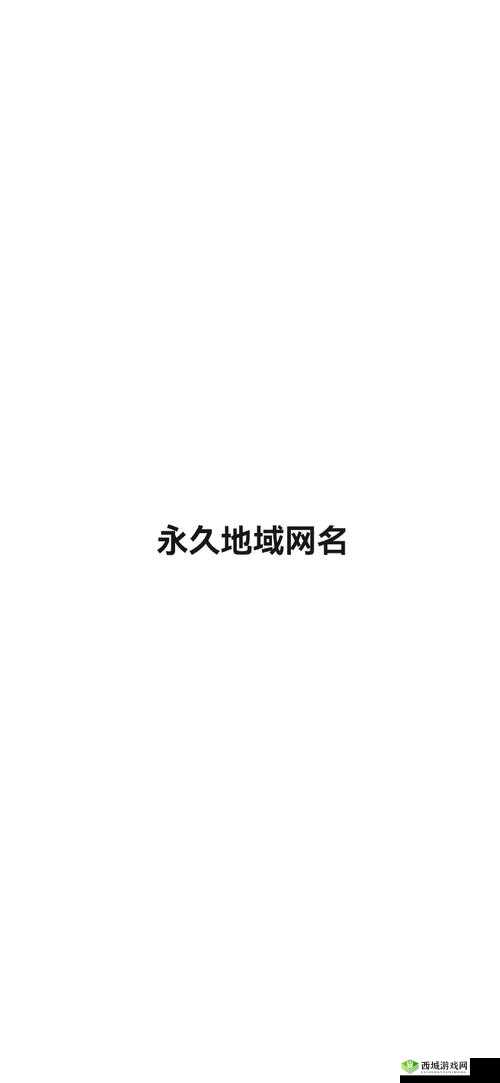 四库永久地域网名 2024：未来的独特标识