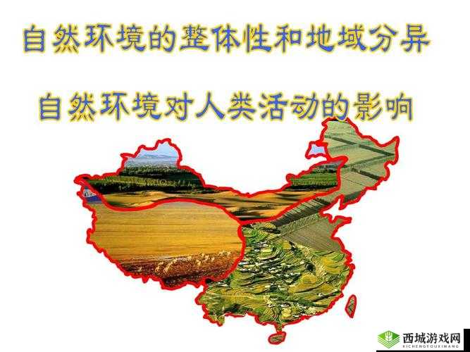 视频态度转变背后的原因：认知失调与信息环境的影响