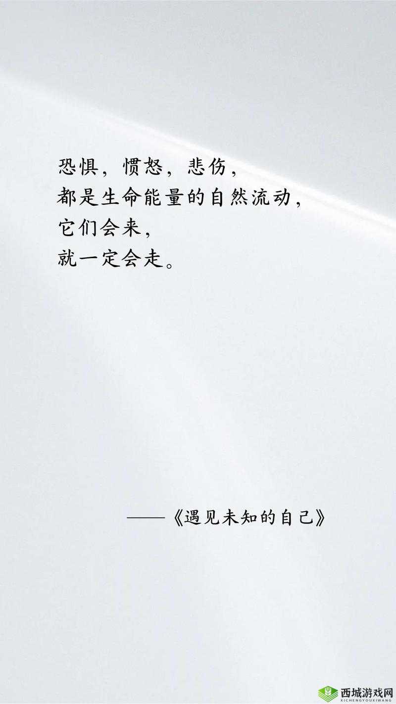 五月婷婷俺也去开心:追寻内心的快乐之旅