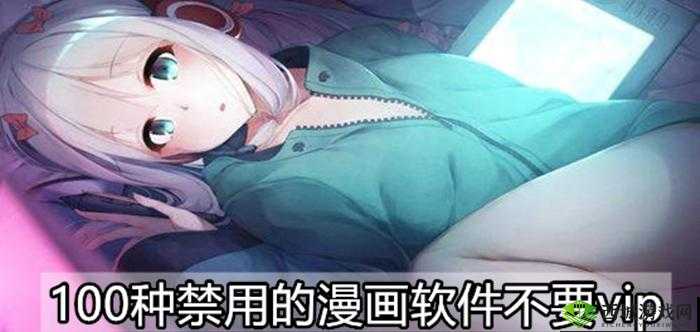 100 款夜间禁用 B 站视频软件盘点：你所不知道的那些事