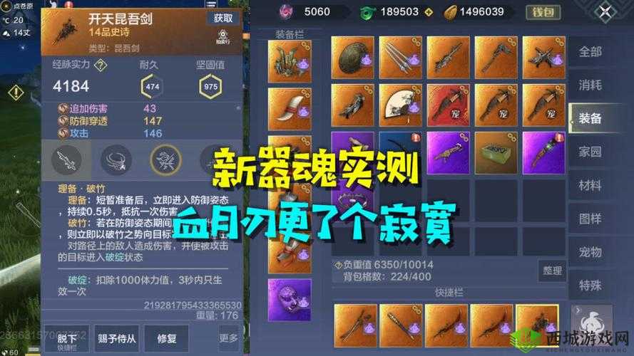 妄想山海游戏中武器器魂搭配策略与选择推荐指南