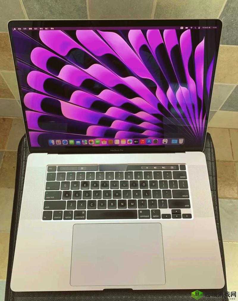 16 岁日本学生用 MacBook Pro 做评测:全面解析其优缺点