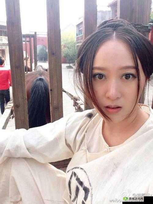 女犯:挑战传统的变态另类 BDSM 之旅