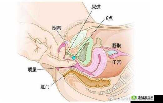 探索女性敏感点的奇妙之旅:我如何让她达到荫蒂高潮