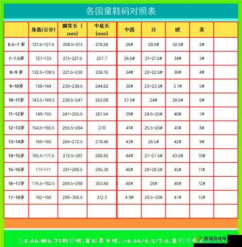 2024 年国产尺码与欧洲尺码:差异与趋势