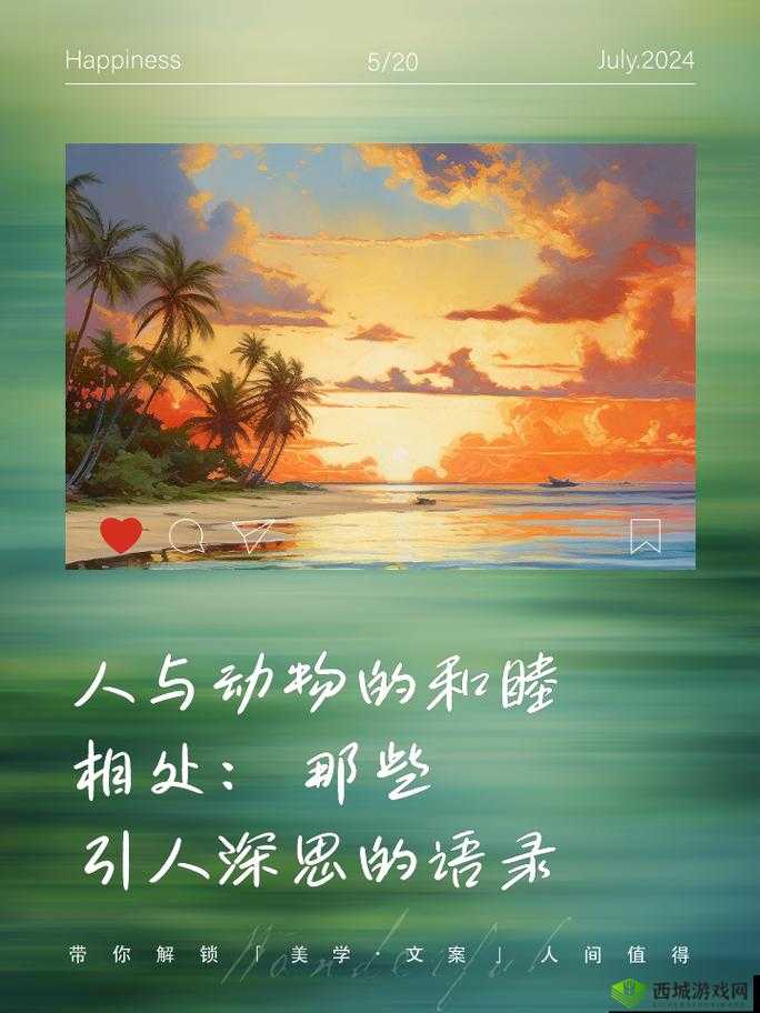 人马畜禽人:探索奇妙的人与动物和谐共处之道