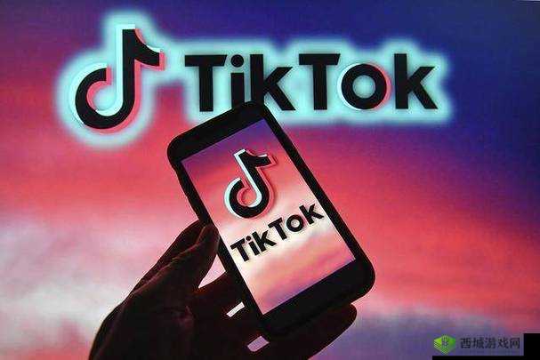 tiktok29.2.4:记录美好生活的短视频平台
