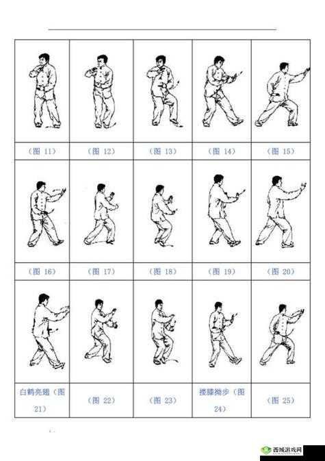 二十四式太极拳口令词详解:掌握每一式动作要领,提升太极修炼效果