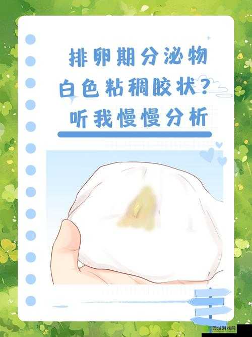 女性一硬就出粘液是怎么回事?专家解析生理现象与健康关系
